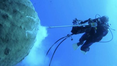 One of the healthiest coral reef systems in the continental