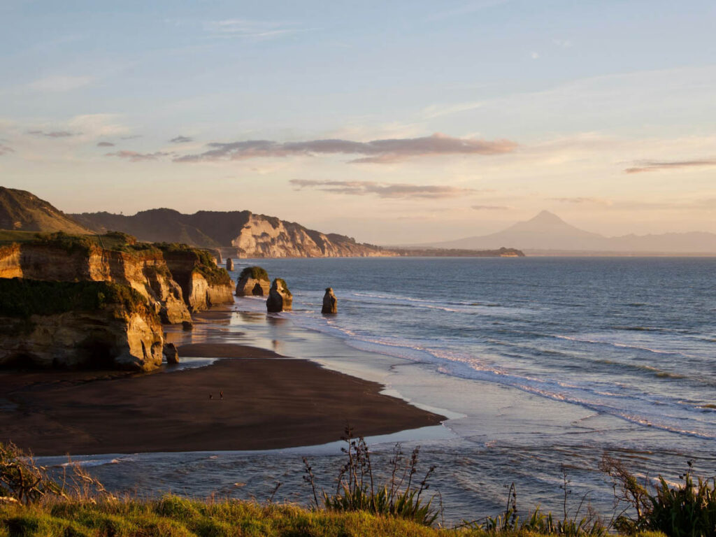 New Plymouth Dive Operators Call for Clean Bay Restrictions Review as Access Debate Grows A developing debate is unfolding on New Zealand’s Taranaki coast