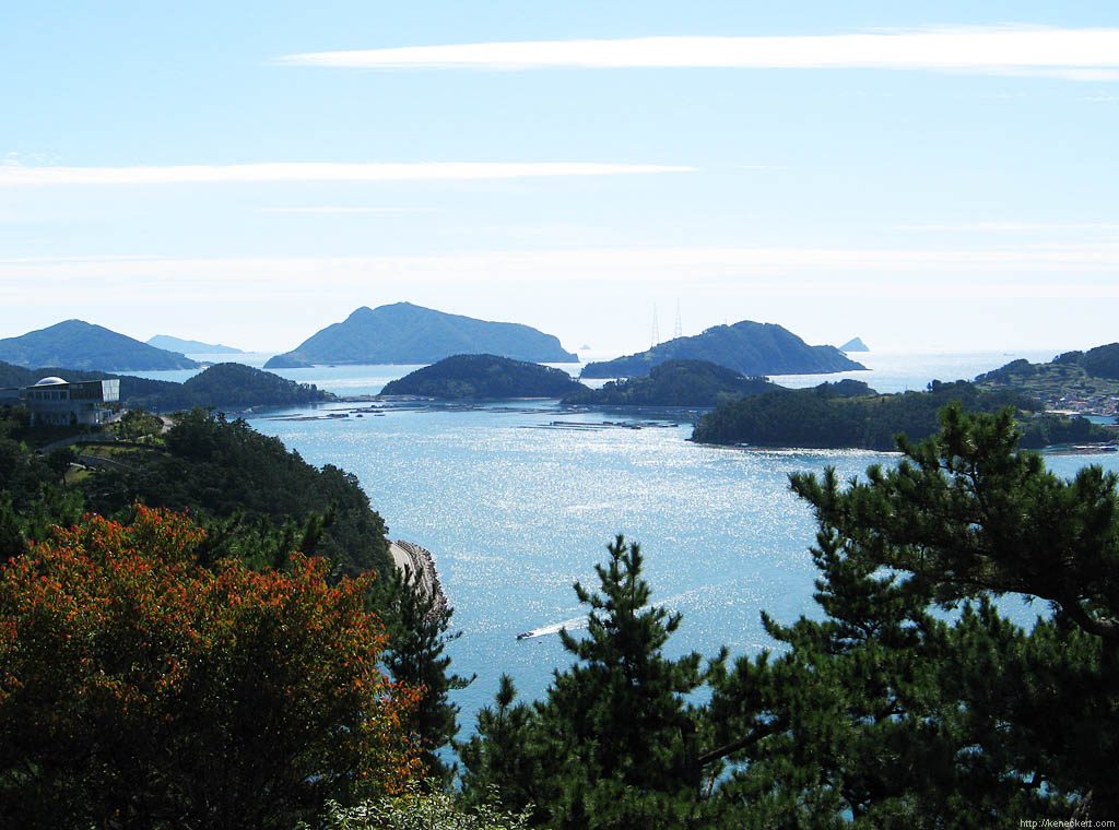 A diver who went missing off South Korea’s east coast