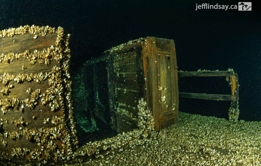 A team of divers looking for the missing Rapid City