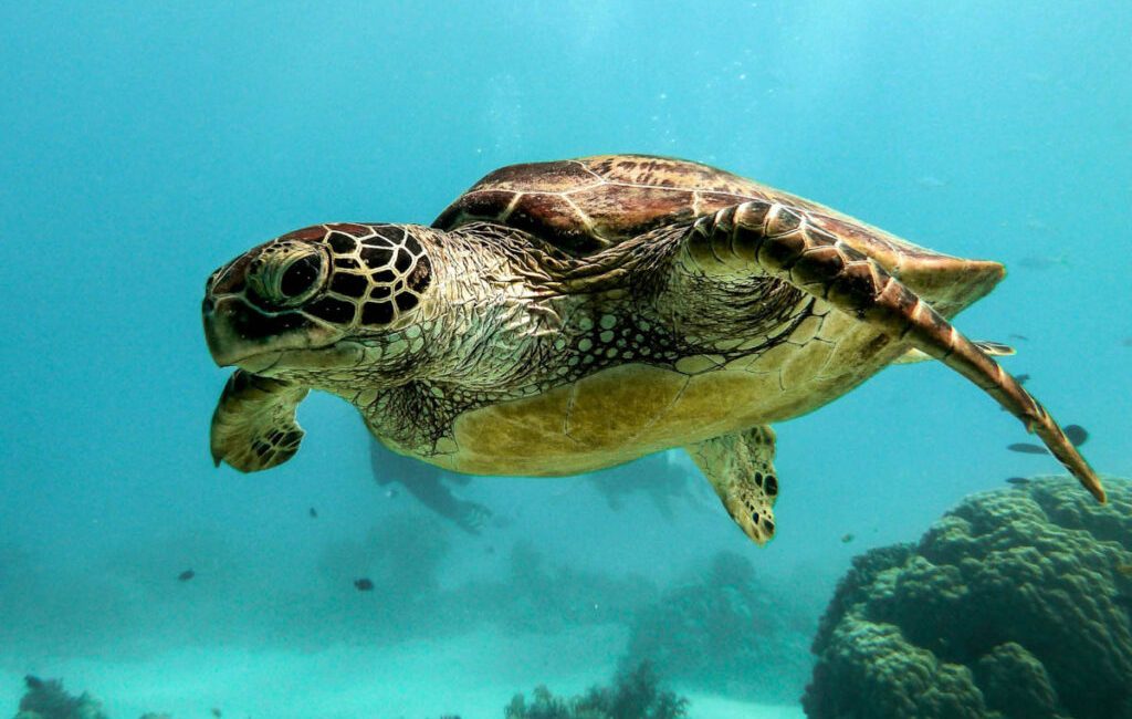 A recent news report from the South China Morning Post describes