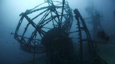 A 50-year-old diver from Citrus County, Florida, has died following