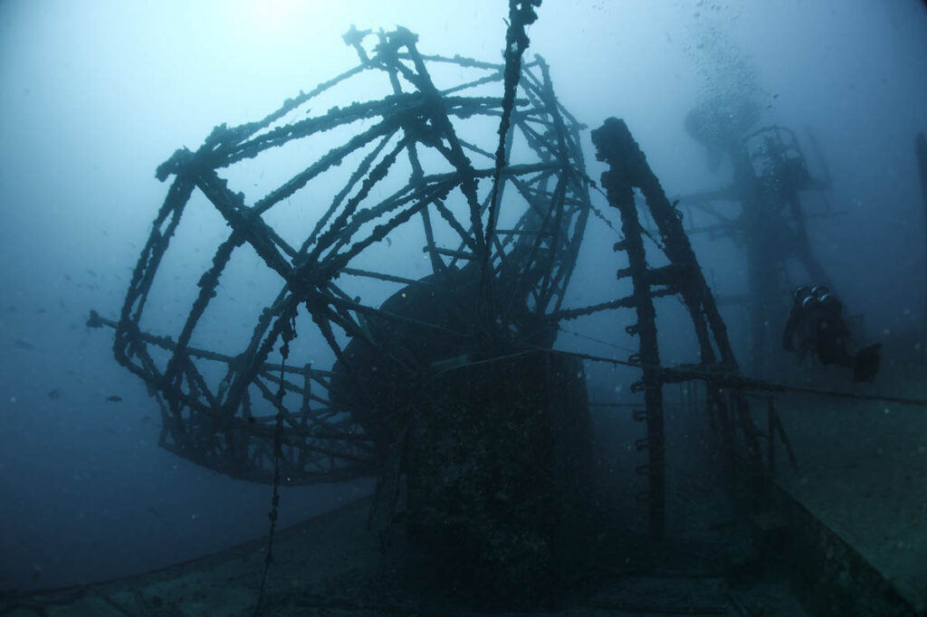 A 50-year-old diver from Citrus County, Florida, has died following