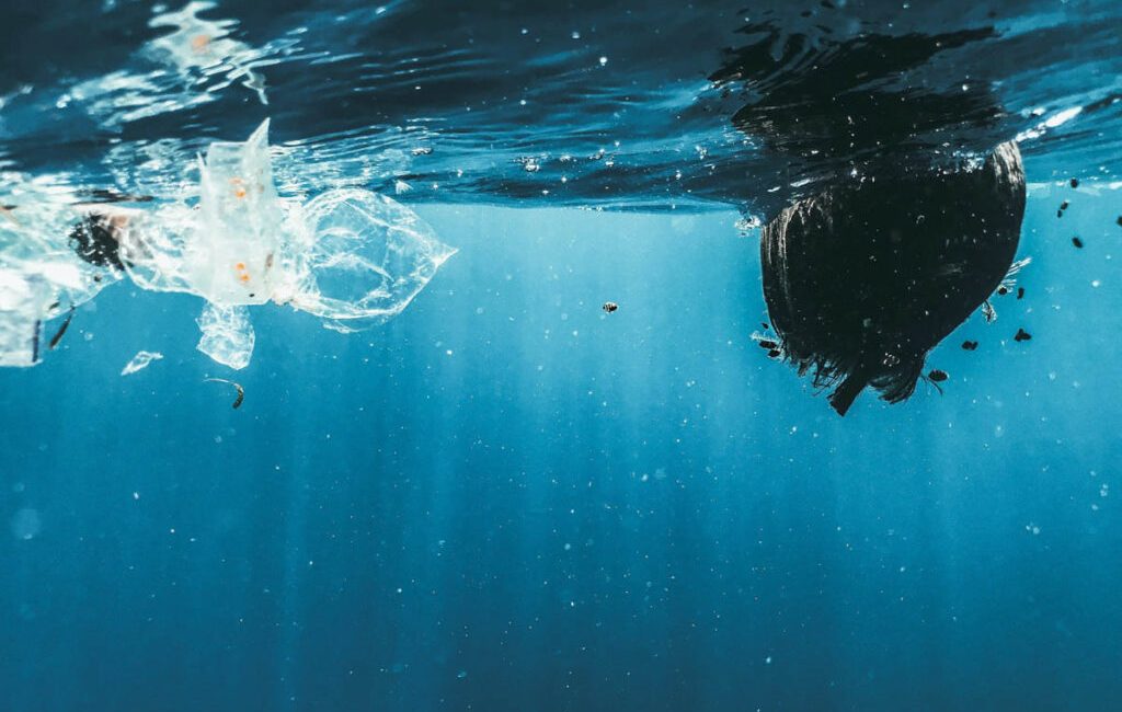 How Pollution Looks from Underwater When you slip below the waterline, the ocean presents itself