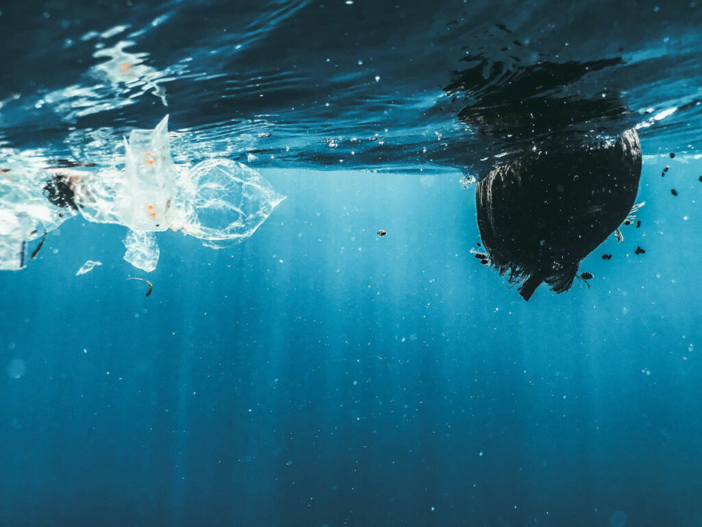 How Pollution Looks from Underwater When you slip below the waterline, the ocean presents itself