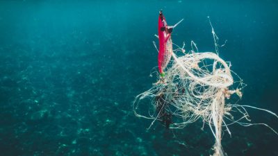A team of military veterans and local conservation divers has