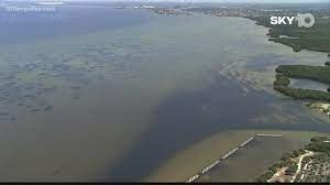The models will help predict how the nutrient-rich wastewater dumped