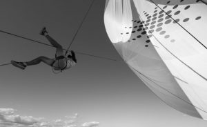 After 130+ photographers representing 31 nations submitted their best photo