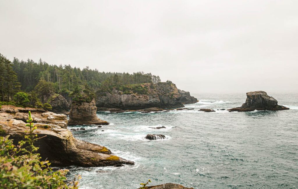 The Washington coast offers an incredible escape beneath the waves,