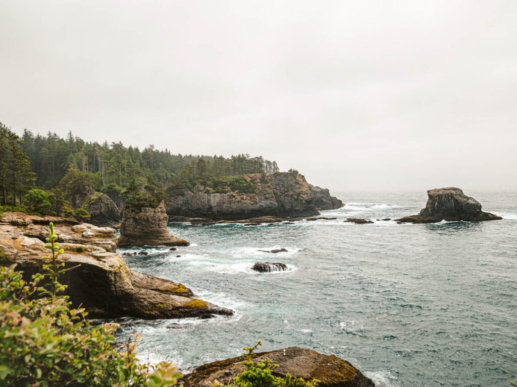 What To Know Before Diving Along the Washington Coast The Washington coast offers an incredible escape beneath the waves,