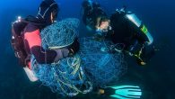 A team of 10 scuba divers recently removed a 656-foot-long discarded fishing net, called a “ghost net,” from a popular diving and fishing site off the coast of Plymouth, England. The volunteers, who are part of the ocean conservation nonprofit […]
