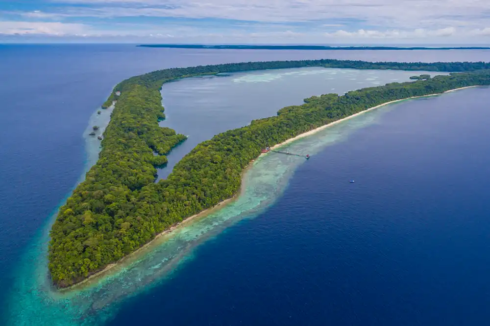 Aerial view of Kakaban Island (Photo: Shutterstock) The body of