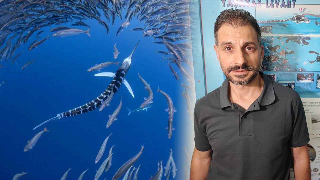 Çukurova Üniversitesi Su Ürünleri Fakültesi Öğretim Üyesi Prof. Dr. Sinan