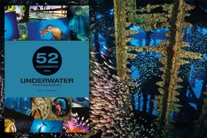 Alex Mustard’s latest book 52 Assignments: Underwater Photography is packed