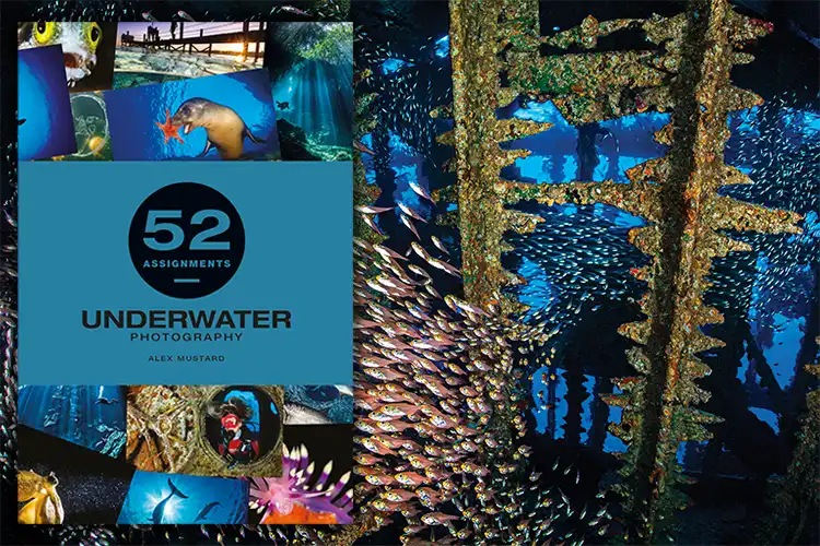 Alex Mustard’s latest book 52 Assignments: Underwater Photography is packed