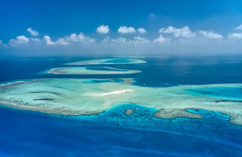 By Mark ‘Crowley’ Russell The scuba diving world has been