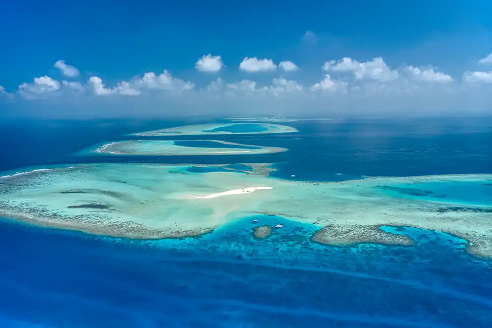 By Mark ‘Crowley’ Russell The scuba diving world has been