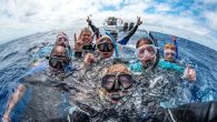 A sign up for continuing-education courses where a dive professional can prepare you for local or destination diving with a buddy. There’s no set number of dives required before you dive with someone you don’t know, but you have to […]