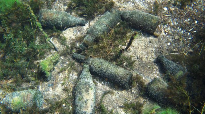 Akdeniz Üniversitesi Su Ürünleri Fakültesi Su Ürünleri Yetiştiriciliği Bölümü Öğretim