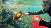 Antalya’nın doğal su kaynaklarından Kırkgözleri tehdit eden kirliliğe dikkat çekmek için bölgede sualtı ve çevre temizliği yapıldı. Çalışmada halı, masa, ayakkabı, av fişeği, inşaat atıkları, traktör lastiği ve yüzlerce şişe çıkartıldı. Akdeniz Üniversitesi (AÜ) Su Ürünleri Fakültesi Öğretim Üyesi Prof. […]
