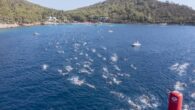 Hapimag Sea Garden Resort Bodrum 28-30 Ekim tarihlerinde Akdeniz’e kıyısı olan ülkeler arasında en kapsamlı yüzme yarışması olarak dikkat çeken 16. Uluslararası Arena Aquamasters Yüzme Şampiyonası’na ev sahipliği yaptı. Hapimag Sea Garden Resort, şampiyonanın 6. kez sponsorluğunu üstlenirken, turizm sezonu […]