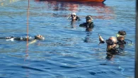 Muğla’nın Fethiye ilçesinde bu yıl ilki gerçekleştirilen Ölüdeniz Uluslararası Su Oyunları başladı. Etkinlikte Milli Sporcu Devrim Cenk Ulusoy, masterlar kategorisinde sabit ağırlıkta paletsiz 72 metre dalarak, rekor kırdı. Muğla’nın Fethiye ilçesinde bu yıl ilki gerçekleştirilen Ölüdeniz Uluslararası Su Oyunları başladı. […]