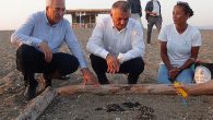 Antalya Valisi Ersin Yazıcı, yangın bölgesinde yaşanan son gelişmeleri takip etmek için Manavgat’a geldi. AFAD Afet Yönetim Merkezi’nde gerçekleştirilen toplantı sonrası Manavgat sahillerinde yaklaşık 2 bin yuvalama alanı olan deniz kaplumbağalarını denizle buluşturmak için DEKAFOK Gözlem Merkezi’ne geçti. Vali Yazıcı, […]