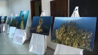Adilcevaz Kaymakamlığı, Su Altı Fotoğrafçılar ve Filmcileri Derneği (SUFOD) ve Adilcevaz Kültür, Sanat ve Turizm Derneğinin çalışmaları sonucunda yapılan dalışlarla Van Gölü’nün derinliklerinde çekilen fotoğraflar sergilendi. Adilcevaz Kaymakamlığında düzenlenen ve 40 fotoğraftan oluşan ‘Adilcevaz’da Su Altı Mikrobiyalitleri’ adlı sergiye Adilcevaz […]