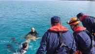 Alınan bilgiye göre, Sahil Güvenlik İskenderun Grup Komutanlığı dalgıç ekipleri tarafından İskenderun Limak Limanı içerisinde nesli tükenme tehlikesi altında olduğu için koruma altında bulunan Caretta Caretta cinsi deniz kaplumbağasının bitkin halde olduğu tespit edildi. Dalgıçlar tarafından bota alınan Caretta Caretta […]