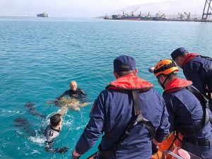 Alınan bilgiye göre, Sahil Güvenlik İskenderun Grup Komutanlığı dalgıç ekipleri
