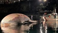 İtalya’nın Sorrento Limanı’nda 70 ton ağırlığında ve 23 metre uzunluğunda ölü bir balina bulundu. Dev balina, otopsi yapılmak üzere Napoli’ye getirildi. İtalya’da Sorrento Limanı yakınlarında 23 metre uzunluğunda ve yaklaşık 70 ton ağırlığında bir balina ölü olarak bulundu. Balina, otopsi […]