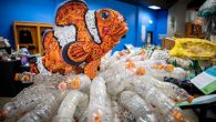 They’ve got nearly 90 sculptures to their name, and this is only the beginning. By Candice Landau Just as the Coquille River bends like a periscope and spills into the Pacific Ocean, the town of Bandon slips into view. The […]
