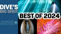 The winners of our readers poll of images from our Big Shots underwater photography competitions of 2024 We asked our readers to vote for their favourite images from our most recent Big Shot underwater photography competitions. Here are the top […]