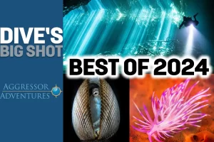 The winners of our readers poll of images from our