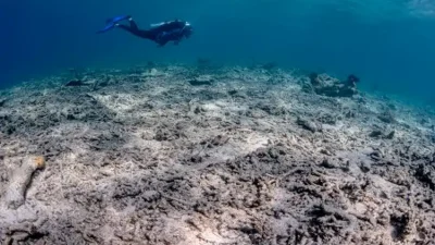 AI acoustic monitoring has revealed the scale of bomb fishing,