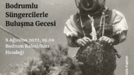 Bu gönderiyi Instagram'da gör Bodrum Deniz Müzesi (@bodrumdenizmuzesi_)'in paylaştığı bir gönderi