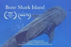 St Helena, one of the world’s most remote inhabited islands,