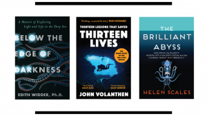 Six titles to crack open in between dives. By Candice