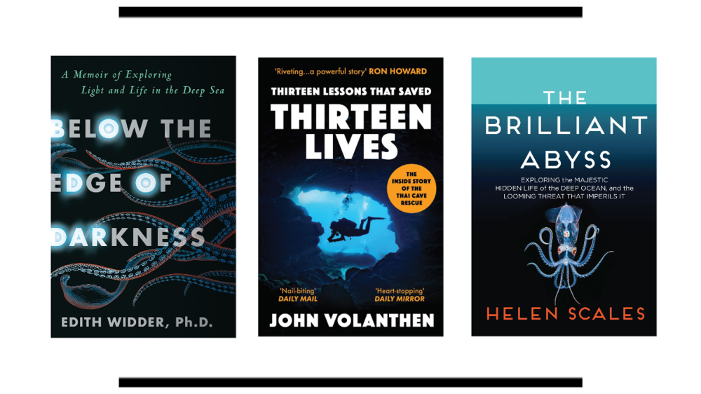 Six titles to crack open in between dives. By Candice