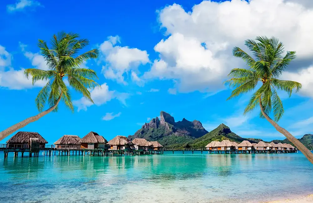 By DIVE Staff The government of French Polynesia has announced
