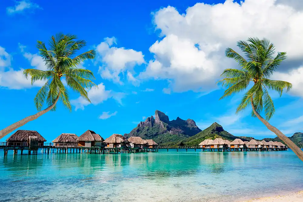 By DIVE Staff The government of French Polynesia has announced