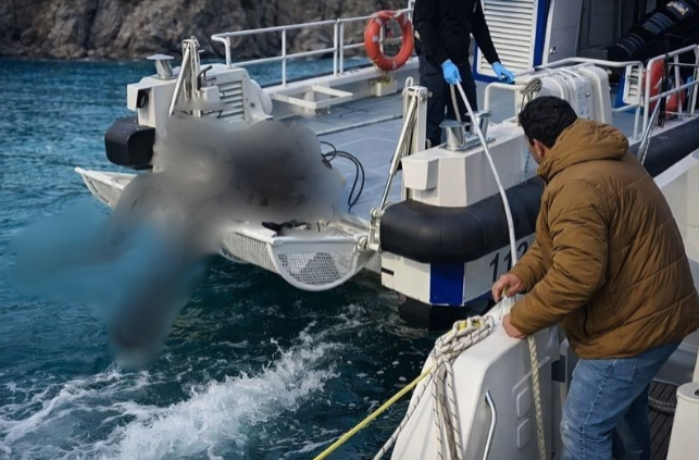 Kocaeli’nin Başiskele ilçesi açıklarında akşam saatlerinde yaşanan olayda sahil güvenlik