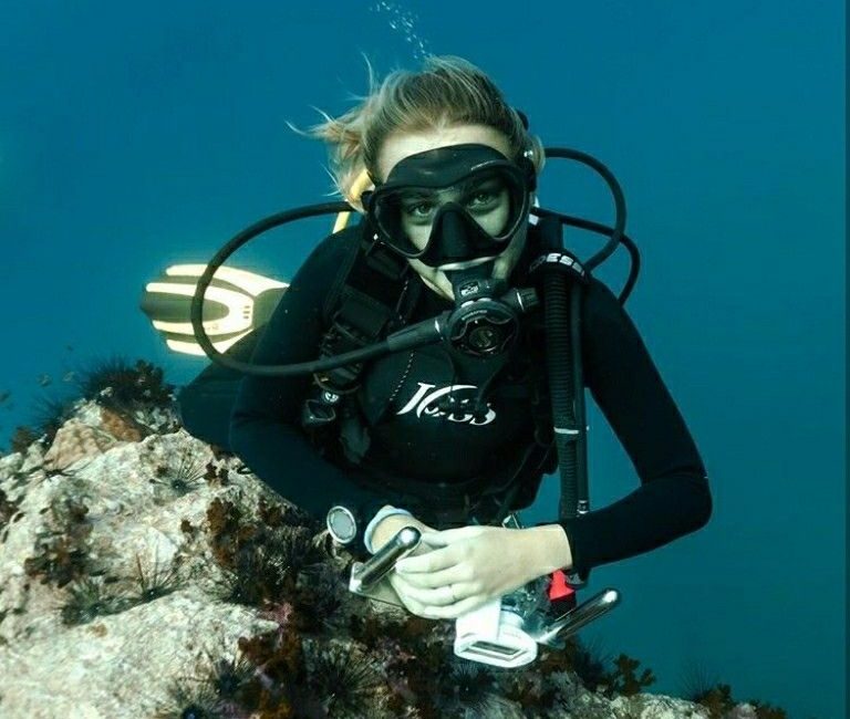 Bülent Hocam… İki ya da üç hafta önce aldığımız Apeks