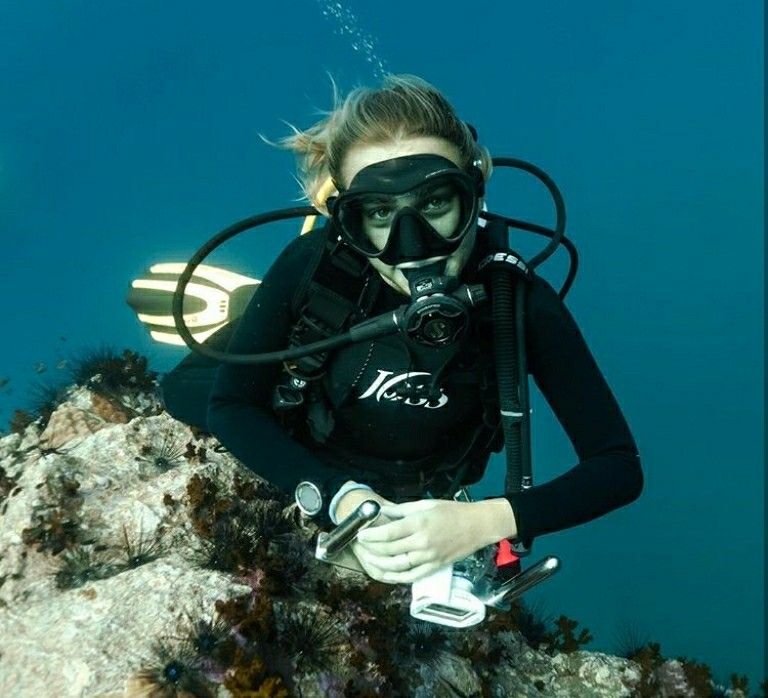 Bülent Hocam… İki ya da üç hafta önce aldığımız Apeks