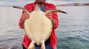 Muğla’nın Datça ilçesi liman mevkiinde kenardan balık avlayan Necati Özaçar
