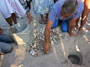 Caretta Caretta Deniz Kaplumbağalarının Türkiye’de en yoğun yumurta bırakma alanı