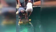 Antalya’nın Kaş ilçesinde denizde yüzgecine misina dolanan deniz kaplumbağası, hayvanseverler tarafından kurtarıldı. Antalya Kaş Limanı’nda teknede bulunan kişiler, bir caretta carettanın suyun yüzeyinde hareketsiz durduğunu fark etti. Yüzgecine misina dolandığı belirlenen caretta caretta teknedeki kişiler tarafından kurtarılarak denize salındı. Caretta […]