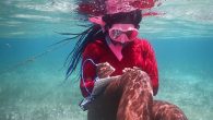 These incredible female scuba divers are driving a sea of change for our oceans. By Tiffany Duong PADI Women’s Dive Day has saluted female divers seven years running. In the run-up to this year’s July 16 celebration, we’re honoring the […]