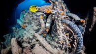 Grab your wide-angle lens to capture its colors and contrasts. By Alex Mustard Surrounded by desert, with no rain or rivers, the Egyptian Red Sea is blessed with reliably excellent visibility and corals that grow right to the surface. Many […]