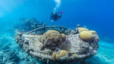 Curaçao has been named Caribbean Dive Destination of the Year